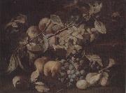 unknow artist Still life of red and white grapes,peaches and plums,on a stone ledge Norge oil painting reproduction